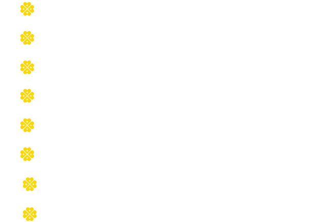 Lista de informações